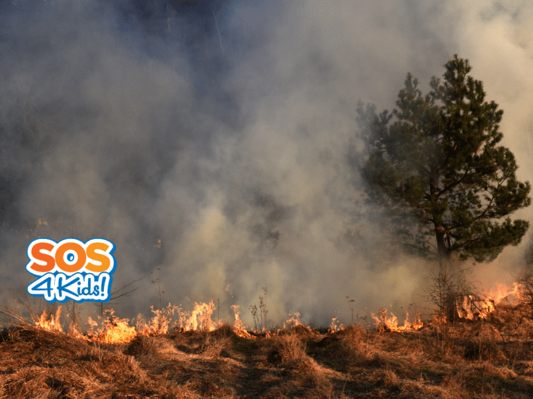 The Health Effects Of Wildfires And How Canadian Red Cross Is Helping